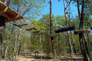 Vue sur un parcours accrobranche