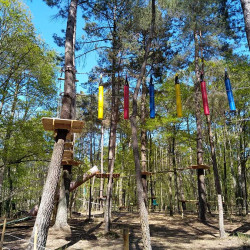 Vue sur un parcours accrobranche