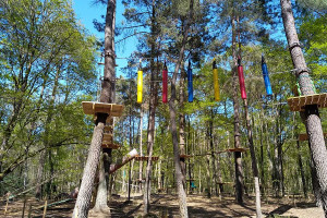 Vue sur un parcours accrobranche