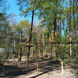 Vue sur un parcours accrobranche