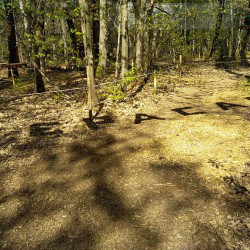 Vue sur un parcours accrobranche