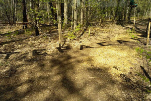 Vue sur un parcours accrobranche