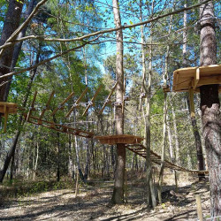 Vue sur un parcours accrobranche