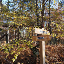 Deux panneaux qui montre la direction de l'entrée du parcours