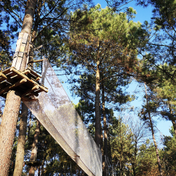 Parcours dans les arbres avec un filet