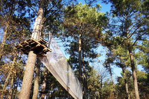Parcours dans les arbres avec un filet