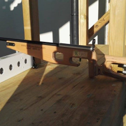 Pistolet de biathlon