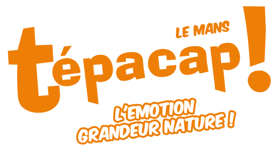 logo de tepacap le mans orange